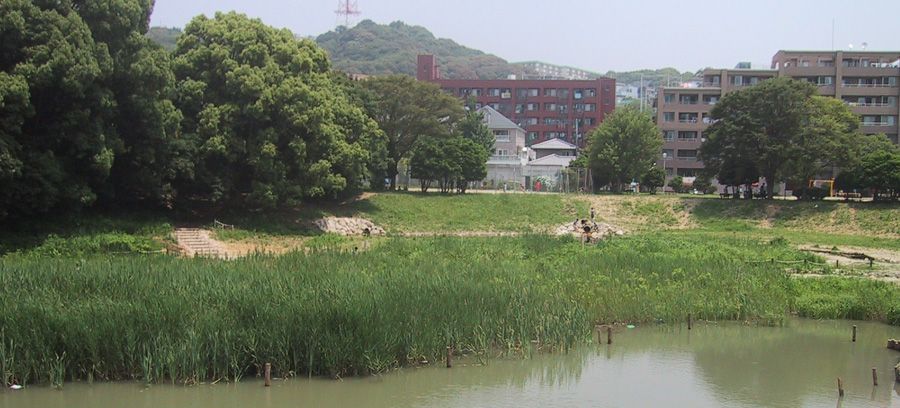 長丘中公園ワークショップ