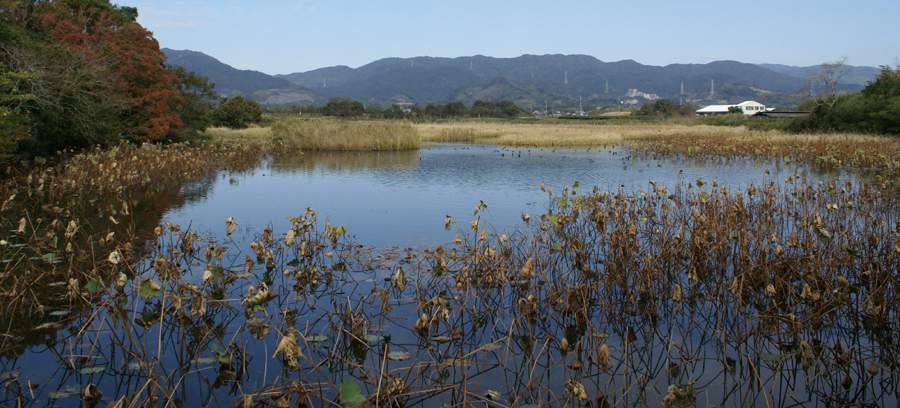 白石原湿原